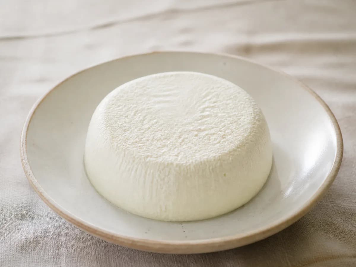 Queijo Fresco Sem Lactose Caseiro