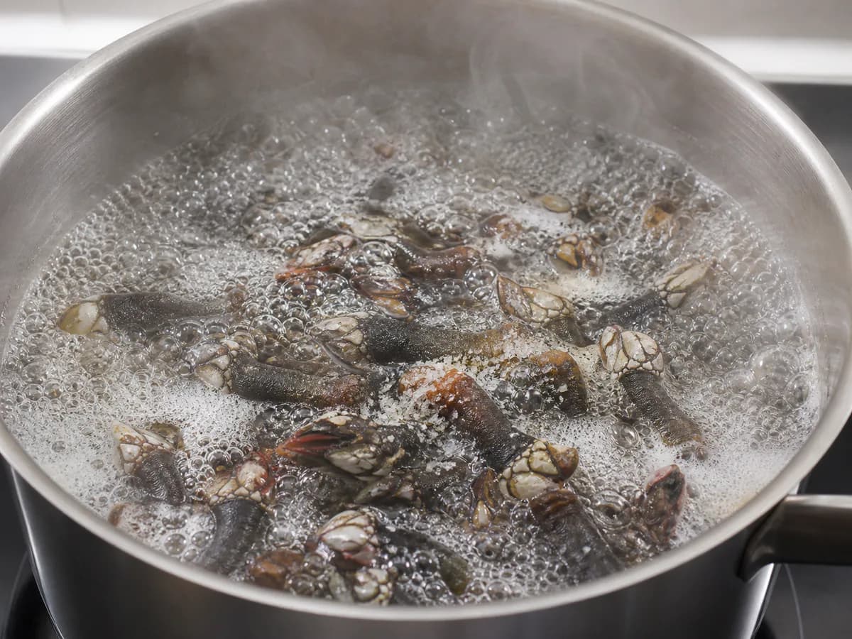 Preparação de Percebes Cozidos à Moda Galega durante a confeção
