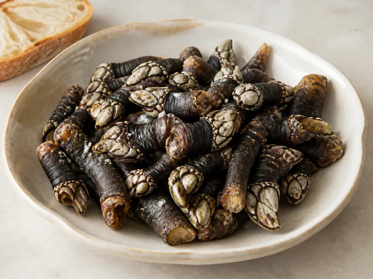 Percebes Cozidos à Moda Galega