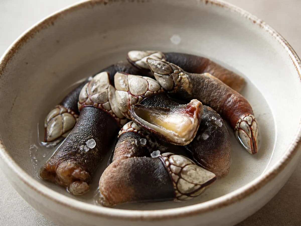 Pormenor de uma porção de Percebes Cozidos à Moda Galega