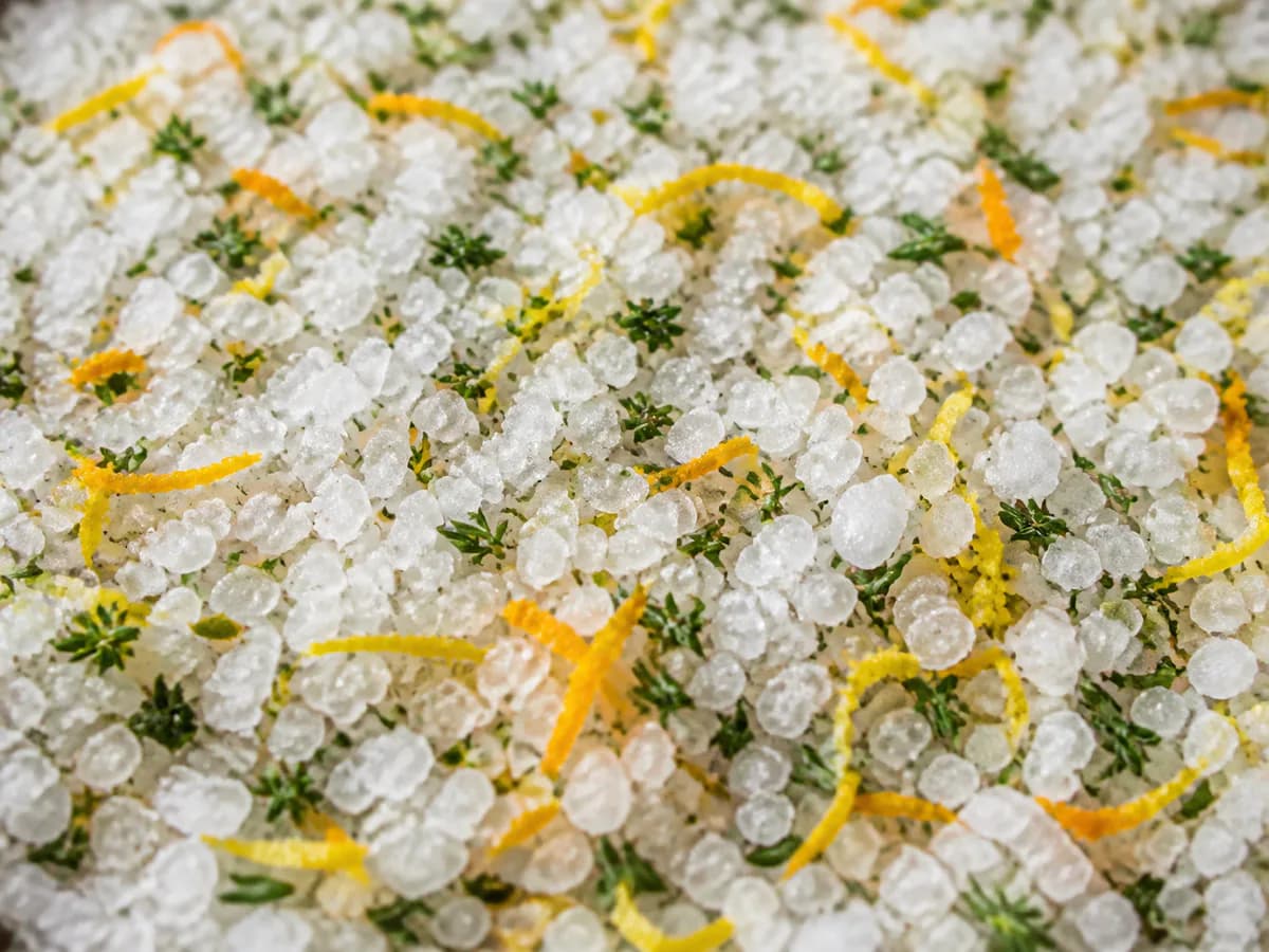 Pormenor de uma porção de Sal Aromatizado com Citrinos
