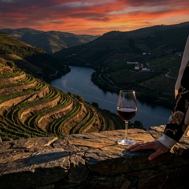 O Douro e o Vinho do Porto