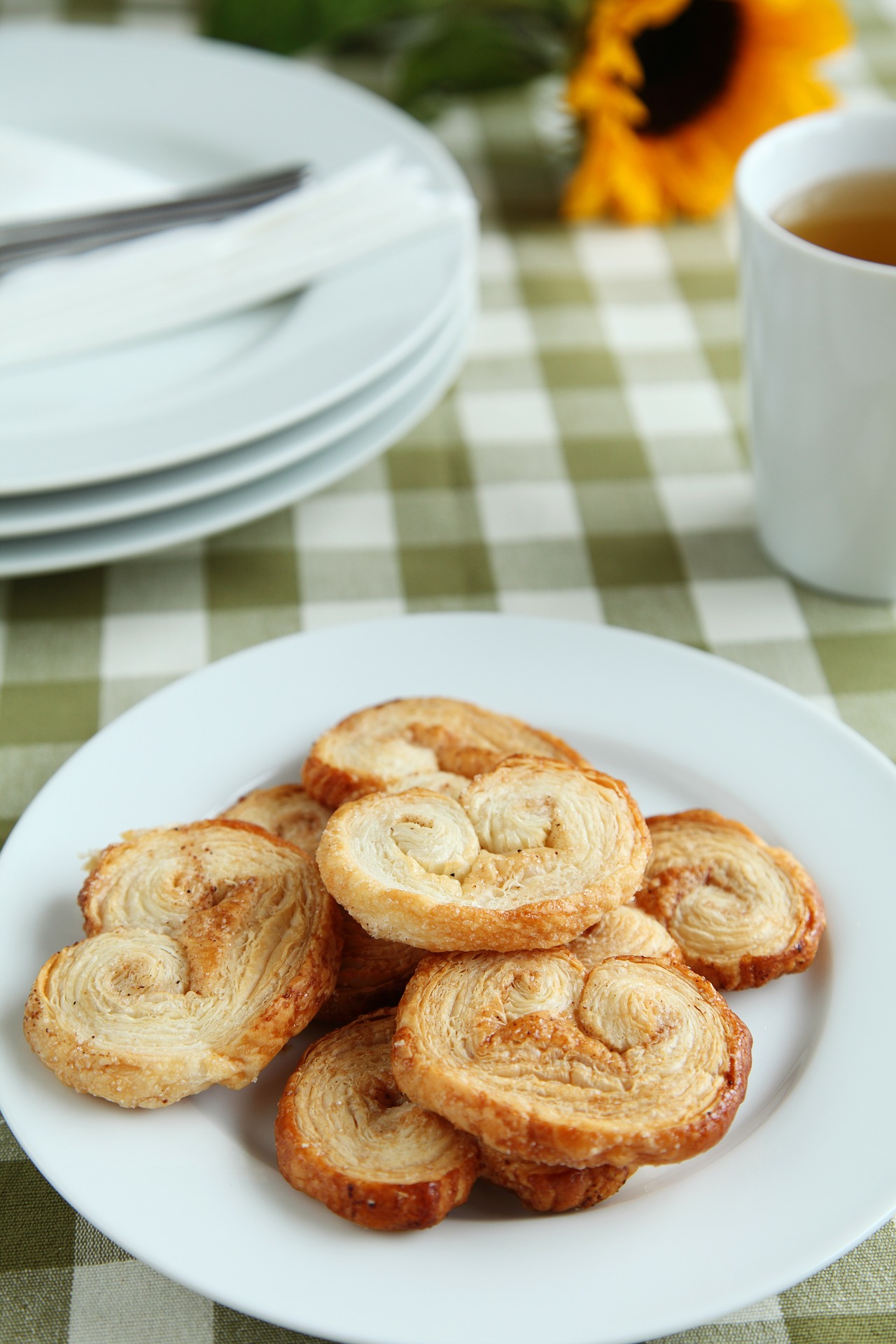 Palmiers de Canela